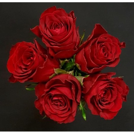 LINA BOUQUET DE 5 ROSES ROUGES